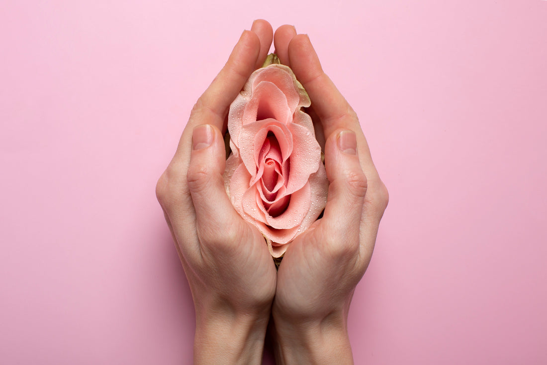 Menopause 101 — Let’s Get Down to Basics